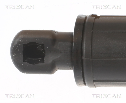 TRISCAN Gasfjeder, kuffert-/lastrum 8710 27304 for VOLVO