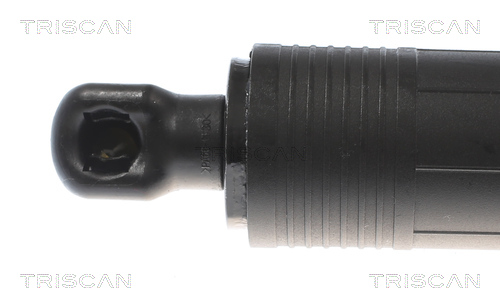 TRISCAN Gasfjeder, kuffert-/lastrum 8710 29309 for AUDI