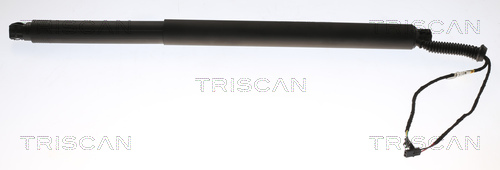 TRISCAN Gasfjeder, kuffert-/lastrum 8710 29312 for SKODA