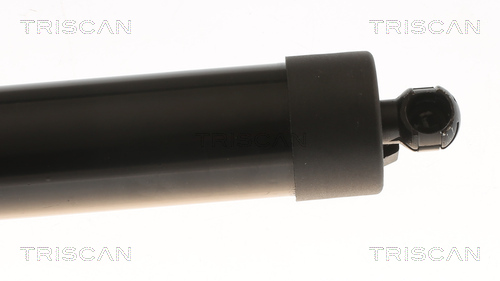 TRISCAN Gasfjeder, kuffert-/lastrum 871040302 for HONDA