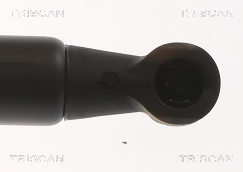 TRISCAN Gasfjeder, kuffert-/lastrum 8710 16306 for FORD