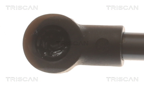 TRISCAN Gasfjeder, kuffert-/lastrum 871016306 for FORD