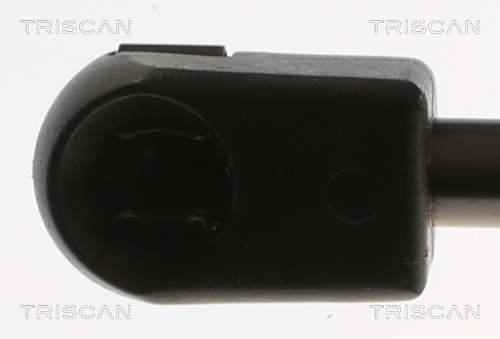 TRISCAN Gasfjeder, kuffert-/lastrum 871029316 for VW