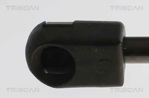 TRISCAN Gasfjeder, kuffert-/lastrum 8710 11362 for BMW