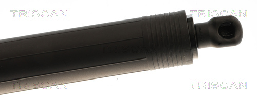 TRISCAN Gasfjeder, kuffert-/lastrum 871029326 for CUPRA