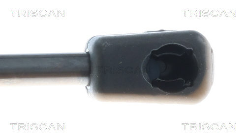 TRISCAN Gasfjeder, kuffert-/lastrum 8710 292079 for SKODA