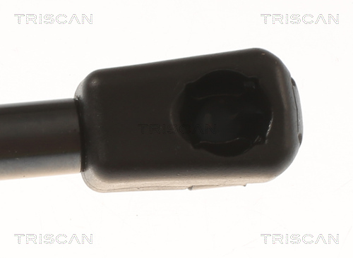 TRISCAN Gasfjeder, kuffert-/lastrum 871081204 for TESLA