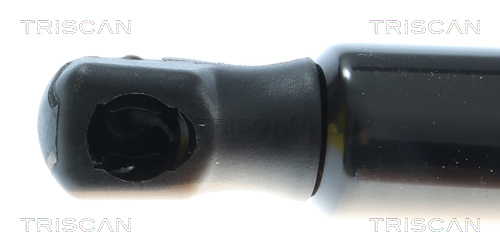 TRISCAN Gasfjeder, motorhjelm 871081207 for TESLA