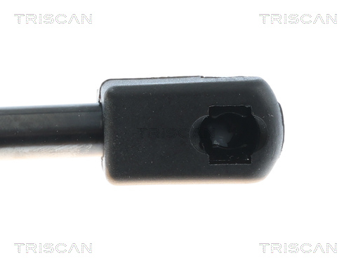 TRISCAN Gasfjeder, motorhjelm 871081208 for TESLA