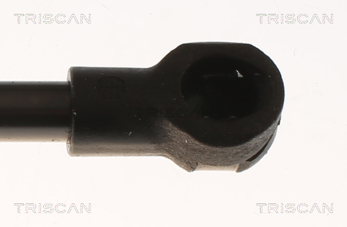 TRISCAN Gasfjeder, kuffert-/lastrum 8710 13297 for TOYOTA
