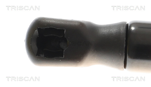 TRISCAN Gasfjeder, kuffert-/lastrum 871016310 for FORD