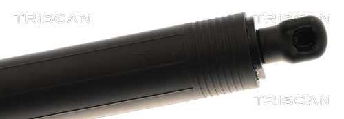 TRISCAN Gasfjeder, kuffert-/lastrum 8710 29325 for CUPRA