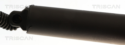 TRISCAN Gasfjeder, kuffert-/lastrum 871029325 for CUPRA