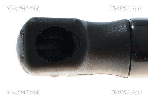 TRISCAN Gasfjeder, kuffert-/lastrum 8710292081 for AUDI