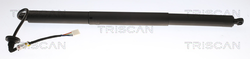 TRISCAN Gasfjeder, kuffert-/lastrum 871081205 for TESLA