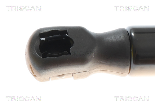 TRISCAN Gasfjeder, kuffert-/lastrum 8710292084 for VW