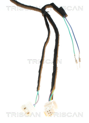 TRISCAN Gasfjeder, kuffert-/lastrum 8710 28301 for PEUGEOT