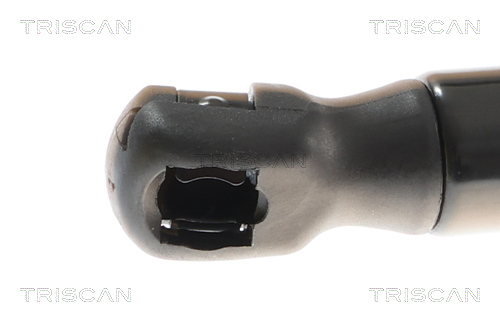TRISCAN Gasfjeder, kuffert-/lastrum 871081210 for TESLA