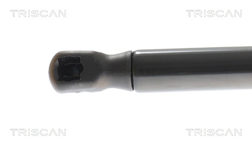 TRISCAN Gasfjeder, kuffert-/lastrum 871016309 for FORD