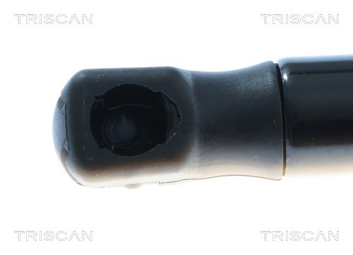 TRISCAN Gasfjeder, kuffert-/lastrum 8710292082 for AUDI
