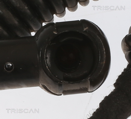 TRISCAN Gasfjeder, kuffert-/lastrum 871011364 for BMW