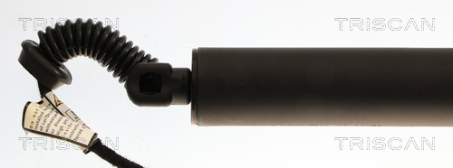 TRISCAN Gasfjeder, kuffert-/lastrum 871029324 for AUDI
