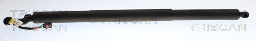 TRISCAN Gasfjeder, kuffert-/lastrum 8710 29324 for AUDI