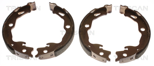 TRISCAN Bremsebakkesæt, parkeringsbremse 810025009 for RENAULT