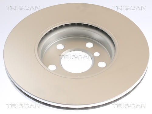 TRISCAN Bremseskive 8120111064c ventileret 307mm 24mm for MINI