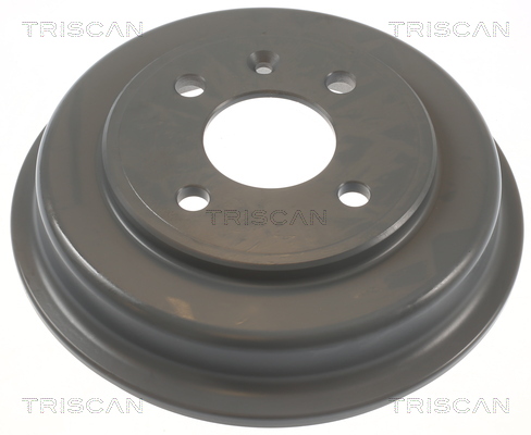 TRISCAN Bremsetromle 8120 21208C for CHEVROLET