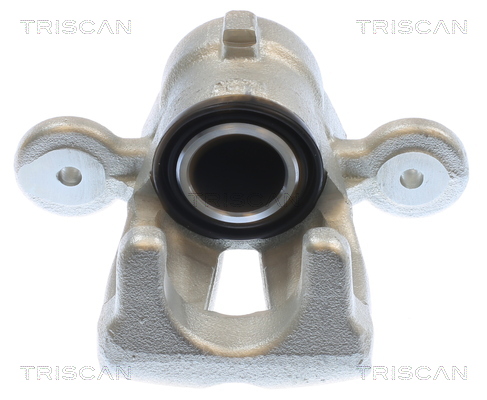 TRISCAN Bremsekaliper 817511231 for BMW
