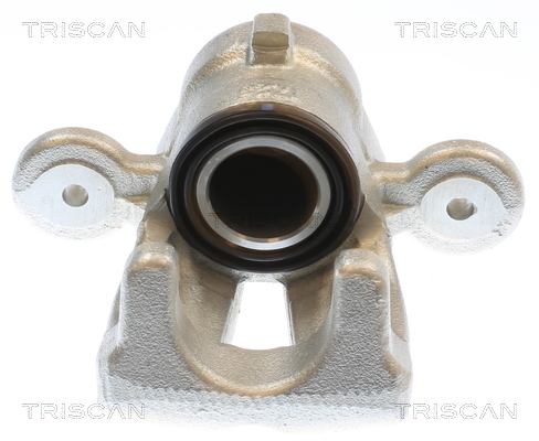 TRISCAN Bremsekaliper 817511232 for BMW