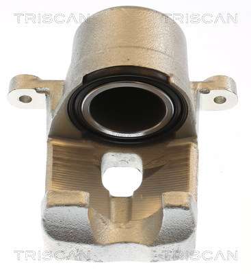 TRISCAN Bremsekaliper 817513119 for TOYOTA