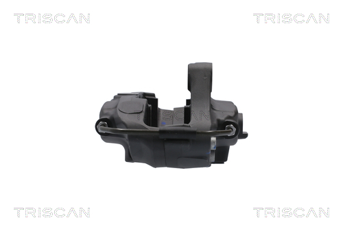 TRISCAN Bremsekaliper 817581204 for TESLA