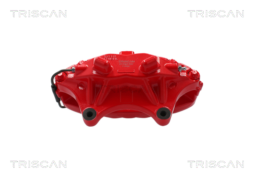 TRISCAN Bremsekaliper 817581105 for TESLA