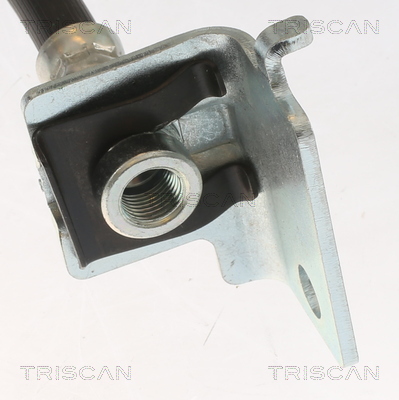 TRISCAN Bremseslange 8150431004 for HYUNDAI