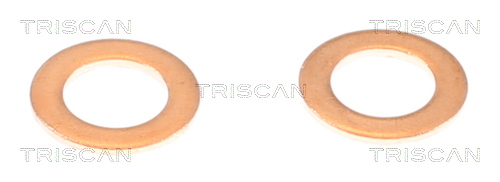 TRISCAN Bremseslange 8150431016 for HYUNDAI