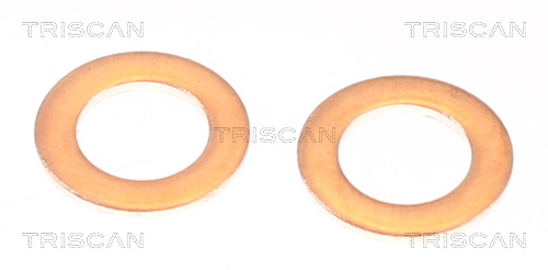 TRISCAN Bremseslange 8150131006 for LEXUS