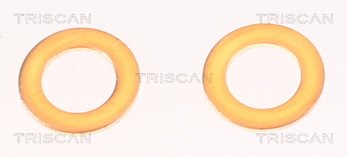 TRISCAN Bremseslange 815042287 for MITSUBISHI