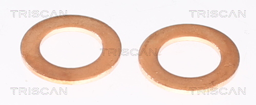 TRISCAN Bremseslange 8150 10145 for VW