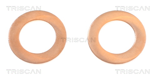 TRISCAN Bremseslange 8150431011 for KIA