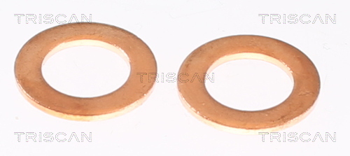 TRISCAN Bremseslange 8150432022 for KIA