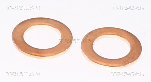 TRISCAN Bremseslange 815080127 for JEEP