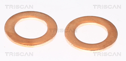 TRISCAN Bremseslange 8150 80222 for JEEP