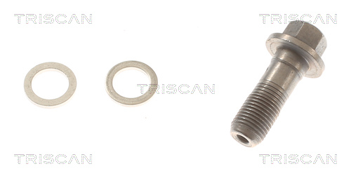 TRISCAN Bremseslange 815081006 for TESLA