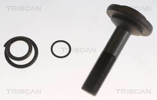 TRISCAN Drivaksel 854011575 for MINI