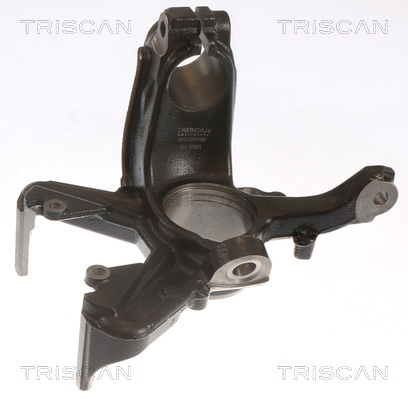 TRISCAN Hjulspindel, hjulophæng 850029702 for VW