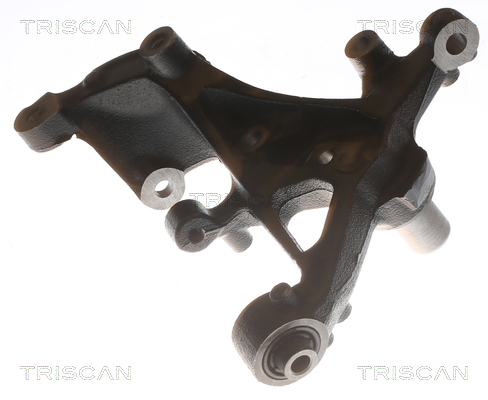 TRISCAN Hjulspindel, hjulophæng 850029724 for VW