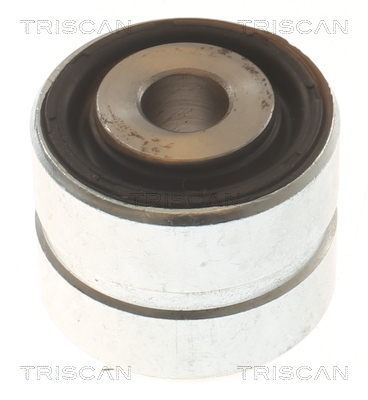 TRISCAN Ophæng, bærearm 850081807 for TESLA