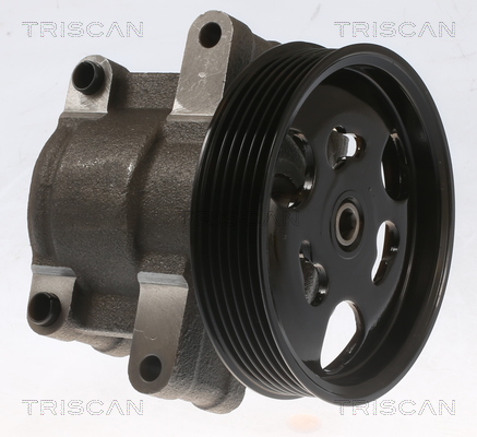 TRISCAN Hydraulikpumpe, styresystem 851510632 for FORD MAZDA